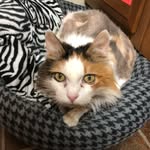 Mary Kay Schwab - @animalcarehospital1 - Instagram