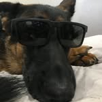 Peekay Schwab - @peekayschwab - Instagram