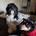Kiké (Kee-Kay) & Scully - @kikeandscully - Instagram