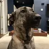kay.seeley24 - @kay.seeley24 - TikTok