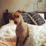 Kseitz - @kayseitz - Instagram