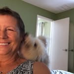 Kay Semrod - @kaysemrod - Instagram