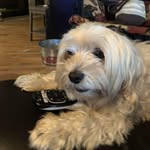 Susan Kayser Montgomery - @kaysermontgomery - Instagram