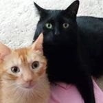 Kay Severson - @seversonkay - Instagram