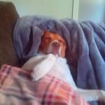 Kay Floyd-Seymore - @floydseymorekay - Instagram