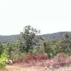 Kay Sharpe - @kay.sharpe4 - TikTok