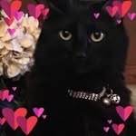 Kay Shook - @kayshook3 - Instagram
