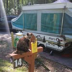 Kay Shook - @kkayshook - Instagram