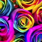 Kay Smallwood - @rainbows2find - Instagram