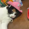 Kayla may - @kayla.smallwood23 - TikTok