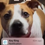 Kay Smyth - @ladychai1255 - Instagram
