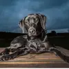 kaysmyth._ - @kaysmyth._ - TikTok