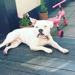 Kay Spears - @kays46 - Instagram