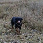 @hannahkaysprague7980 - Instagram