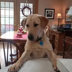 Kay Sprague - Facebook