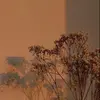kaylan_Sprague - @kaylan_sprague - TikTok