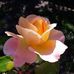 Kay Squire - Facebook