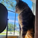 Kay - @kaystarkey21 - Instagram