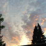 Kay Steiner - @bsks28 - Instagram