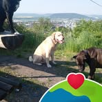 Kay Steiner - Facebook