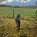 Kay Storey - Facebook