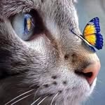Mary Kay Strauss - @mkstrauss.2012 - Instagram