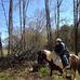 Kay Stringfellow - Facebook
