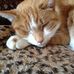 Kay Strom - Facebook