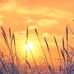 Kay Strom - Facebook
