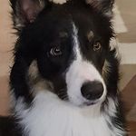 Kay Sweeney - @kay.sweeney.75 - Instagram