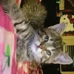 Kay Tate - Facebook