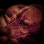 Kay Thomson - @kaythomson - Instagram