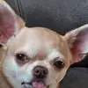 Kay Thomson - @kay.thomson0 - TikTok
