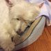 Kay Thurman - Facebook