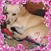 Kay Thurman - Facebook