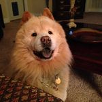 Kay Thurman - @kaythurman3993 - Instagram