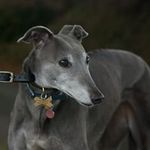 Kay Tunney - @tunneykay - Instagram