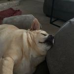 Kay Turner Vance - @unosmom1 - Instagram