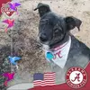 Kay Vance Norris - @kay.vance.norris - TikTok