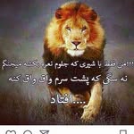 کیوان - @kayvan.g.s - Instagram