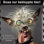 Kay voigt - @voigt_kay - Instagram