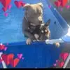 Kaydan Walmsley - @kaydan.walmsley1 - TikTok