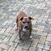 Kay Walsh - Facebook