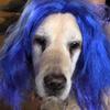 kaywalsh10 - @kaywalsh10 - TikTok