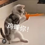 Kay Wang - Facebook
