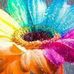 Kay Ware - Facebook