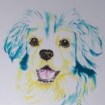 渡辺 ケイ - @watanabe.kay - Instagram