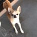 Kay Watanabe - Facebook