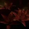 𝐊𝐀𝐘 𝐖𝐀𝐘𝐍𝐄 - @kay.wayne__ - TikTok