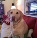 Kay Weaver - Facebook